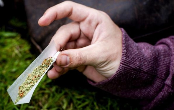Laat 2016 het jaar zijn waarin we cannabisteelt reguleren (Volkskrant, 07 januari)