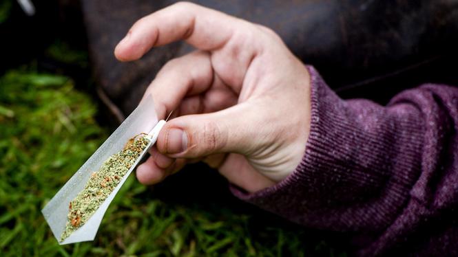 Laat 2016 het jaar zijn waarin we cannabisteelt reguleren (Volkskrant, 07 januari)