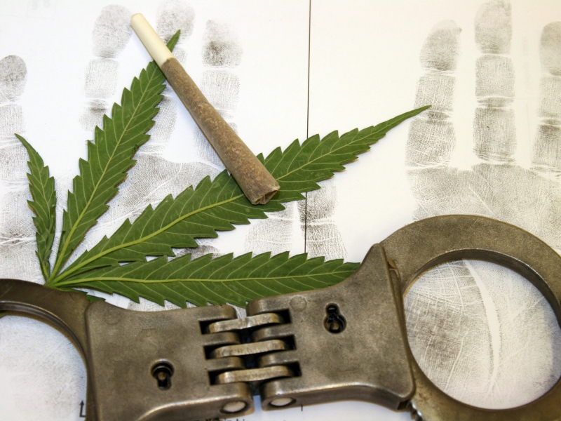 Foul play: the criminalization of Dutch coffeeshop owners (Cannabis News Network, 29 augustus)